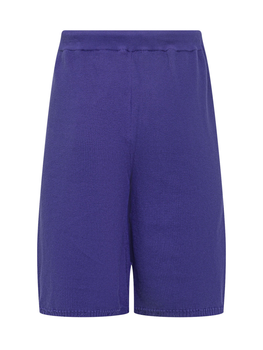 Purple Solid Shorts