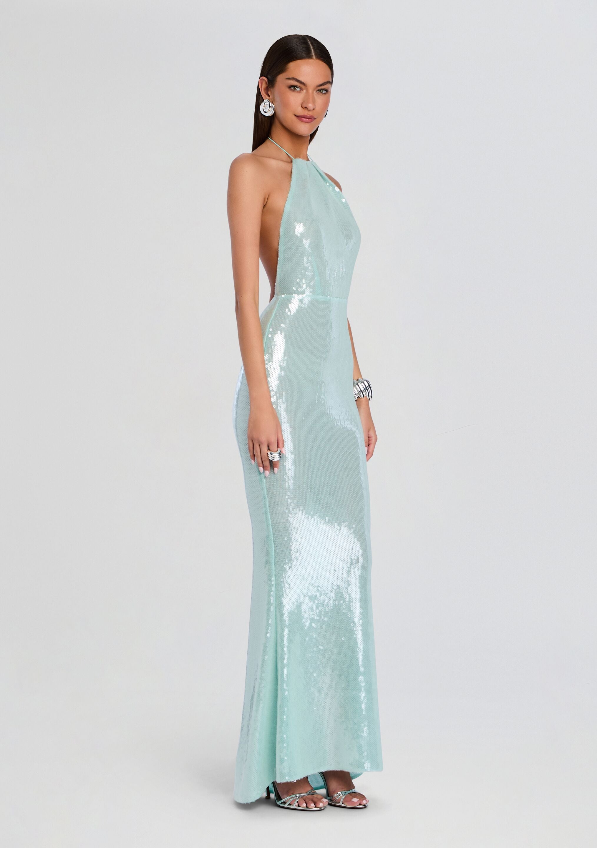 Elexa Sequin Dress