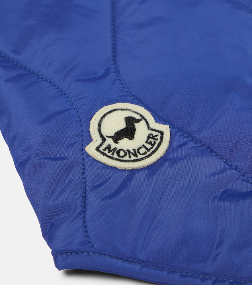 X Poldo Dog Couture dog coat