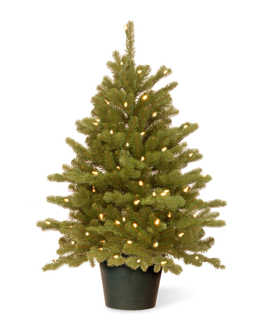 3Ft Feel-Real Hampton Spruce Small Wrapped Tree In Growers Pot With 100 Clear Lights