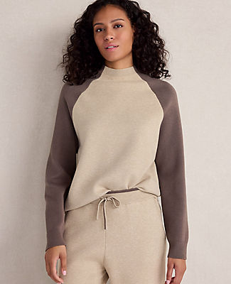 Ann Taylor Haven Well Within Viscose Blend Colorblock Crewneck