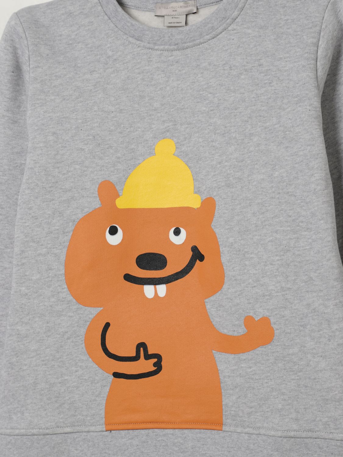 Sweater Kids color Grey