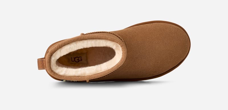 ® Men's Classic Mini GTX Suede Classic Boots in Chestnut