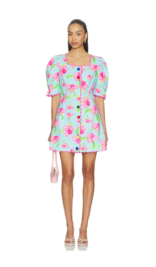 CeliaB Disa Dress in Baby Blue,Pink. XXL. Also in XXS