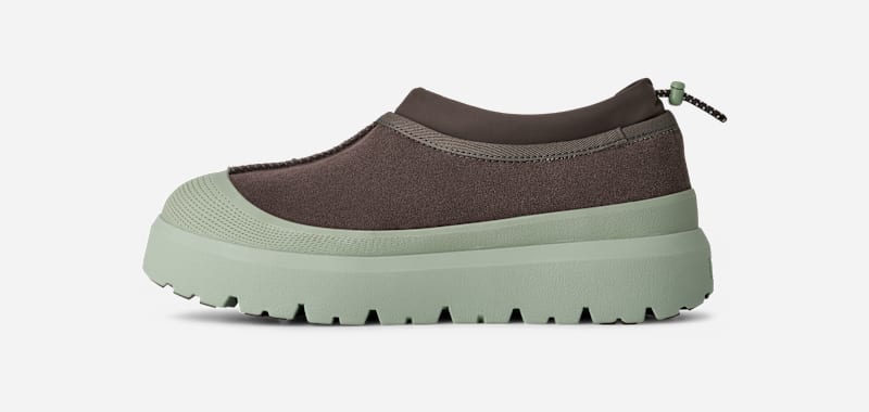 ® Men's Tasman Weather Hybrid Suede Shoes in Dense Smoke/Artichoke