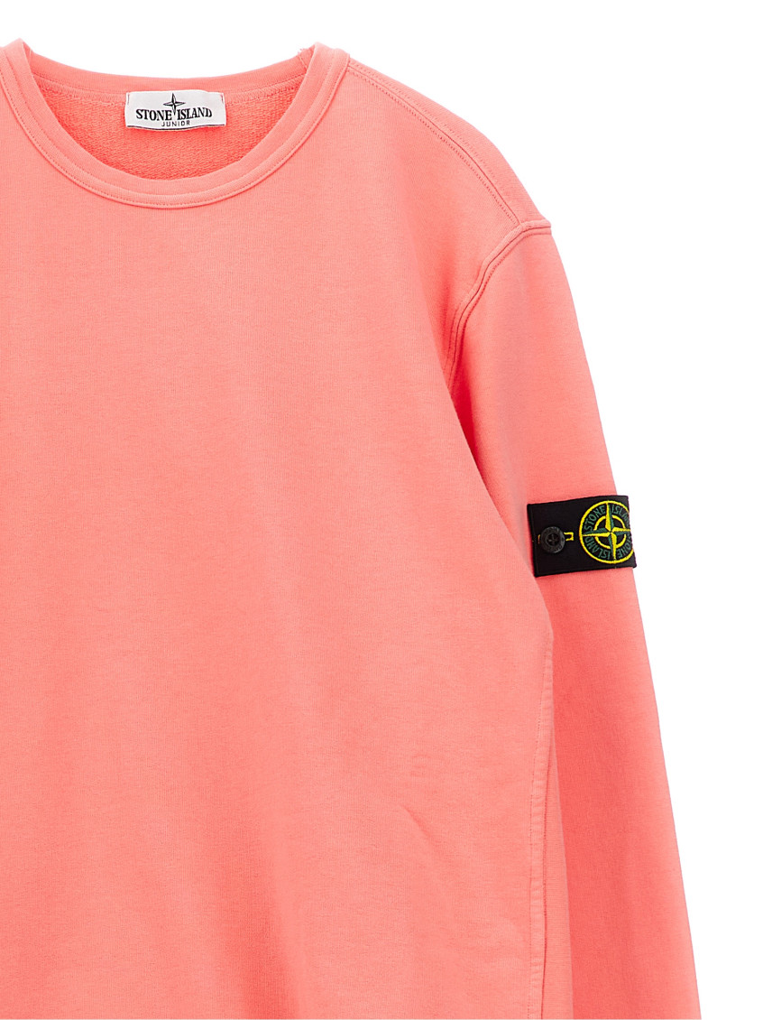 Boys Pink Round Neck Sweatshirt