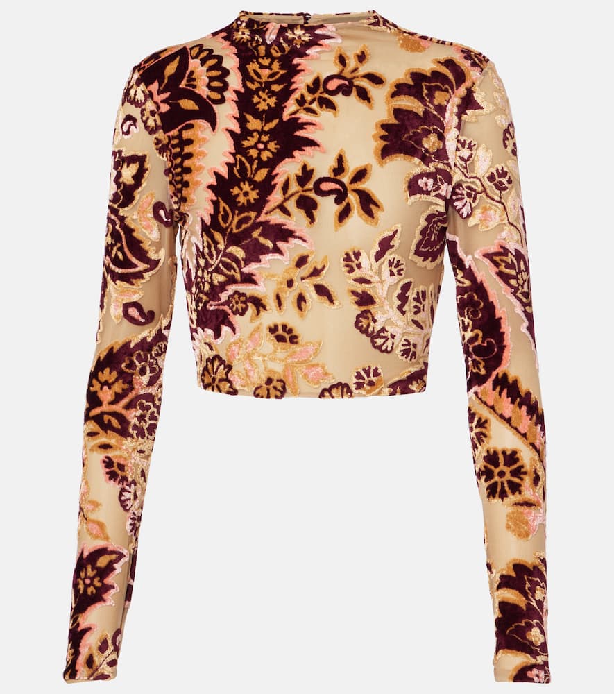 Paisley tulle and velvet jacquard crop top