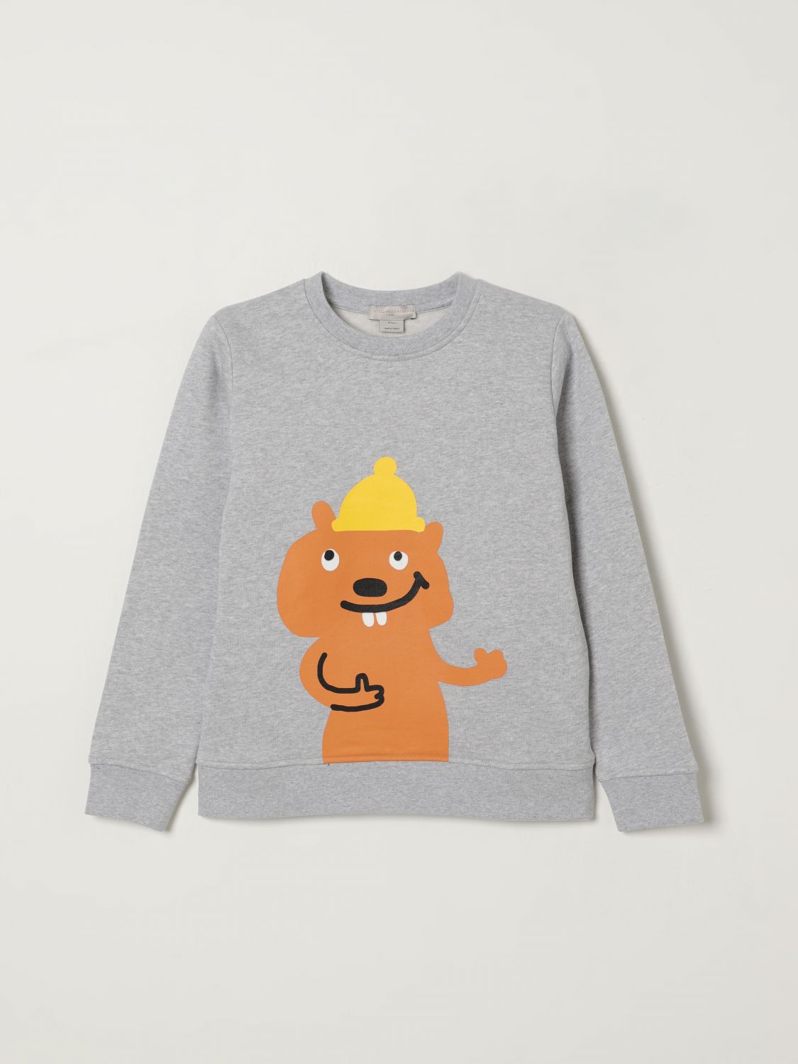 Sweater Kids color Grey