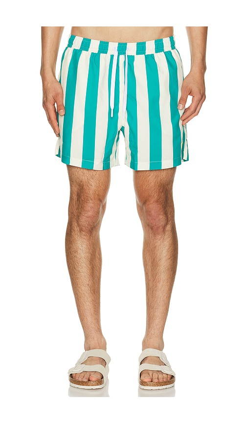 Duvin Design Travel Swim Shorts in Cream,Green. - S also in M, L, XL/1X