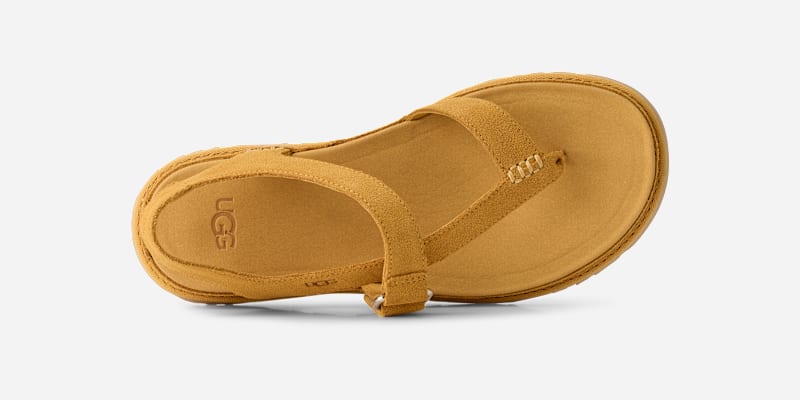® Women's GoldenGaze Toe Post Suede Sandals in Wheat Field