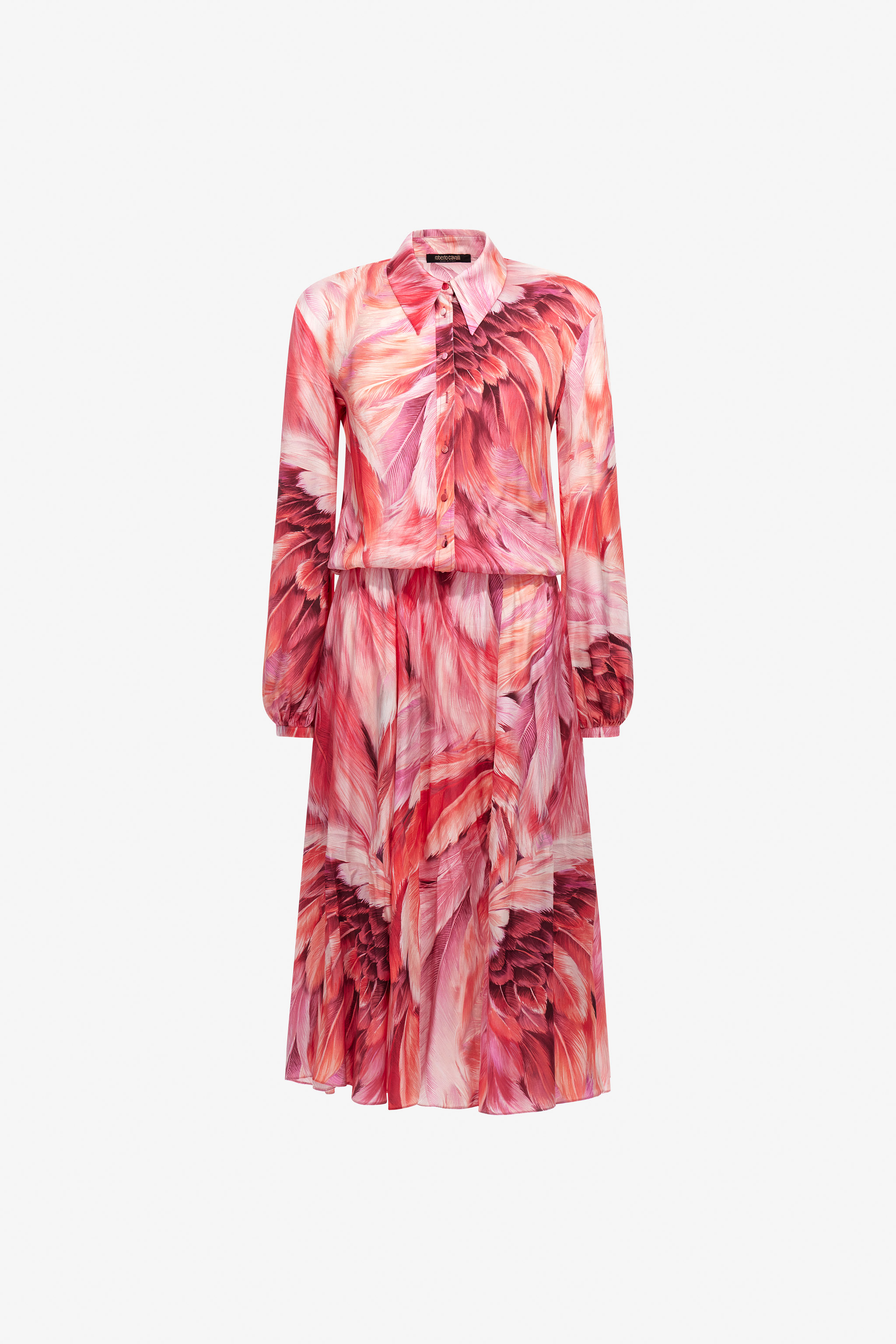Long Dress Plumage Print