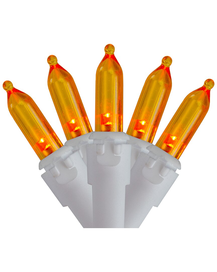 Northlight 100-Count Orange LED Mini Christmas Lights 4in Spacing - White Wire