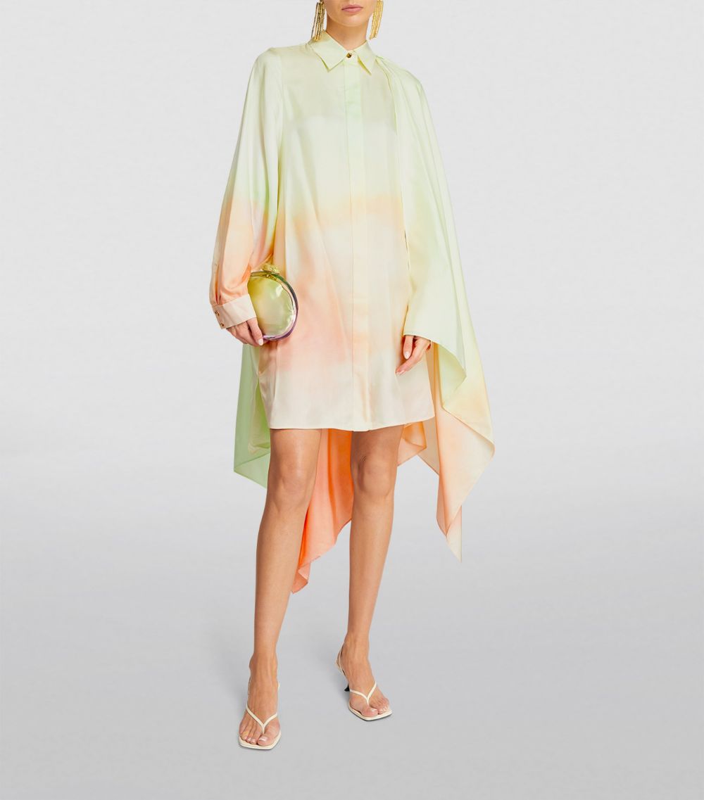 Silk Shirt Dress
