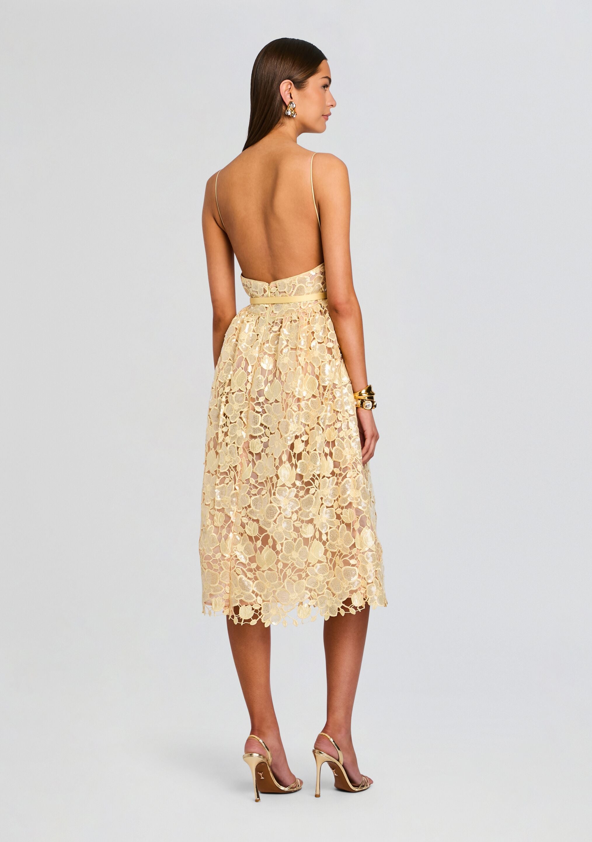 Eulalia Sequin Lace Dress