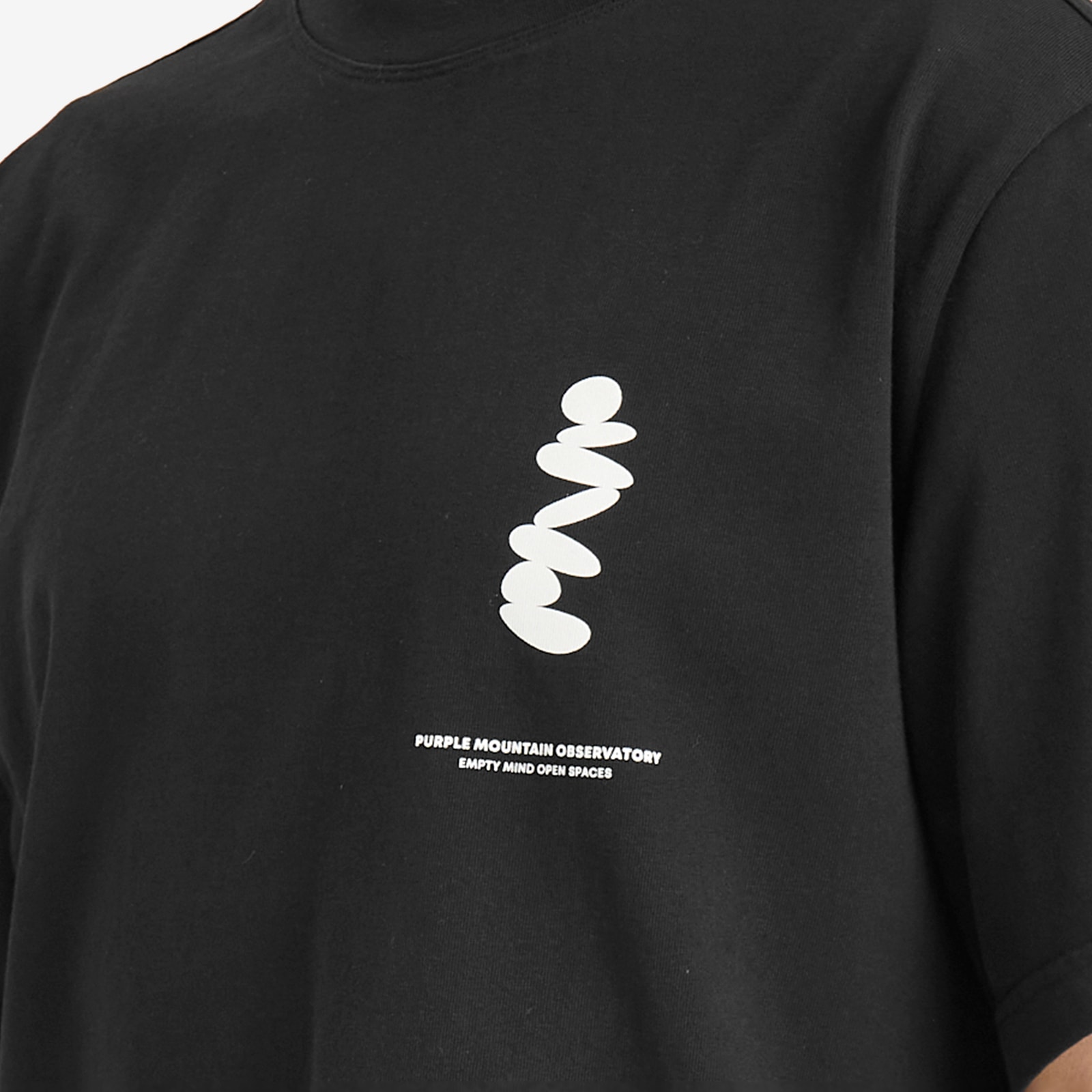 Purple Mountain Observatory Men's Boulder T-Shirt in Black