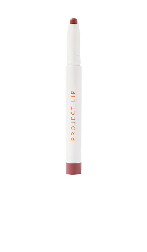 PROJECT LIP Lip Plump and Fill Up Liner in Wild. a