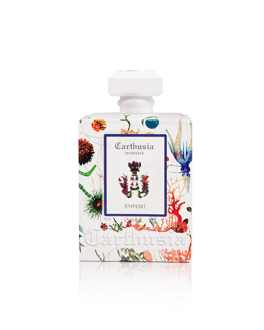 Carthusia Domus A Mmare Aromatic Room Diffuser 680 ml — Diffuser