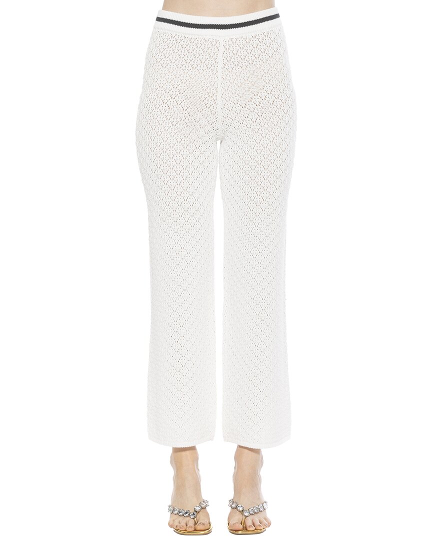 Kora Knit Pants