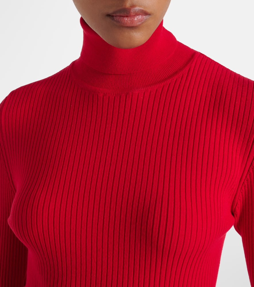 Ancelle ribbed-knit turtleneck sweater