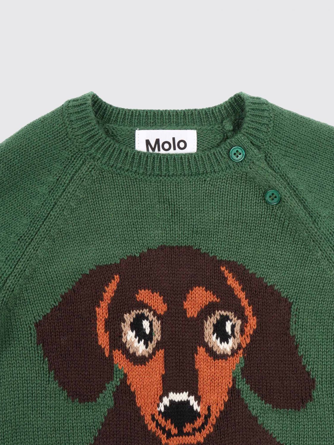 Sweater Kids color Green
