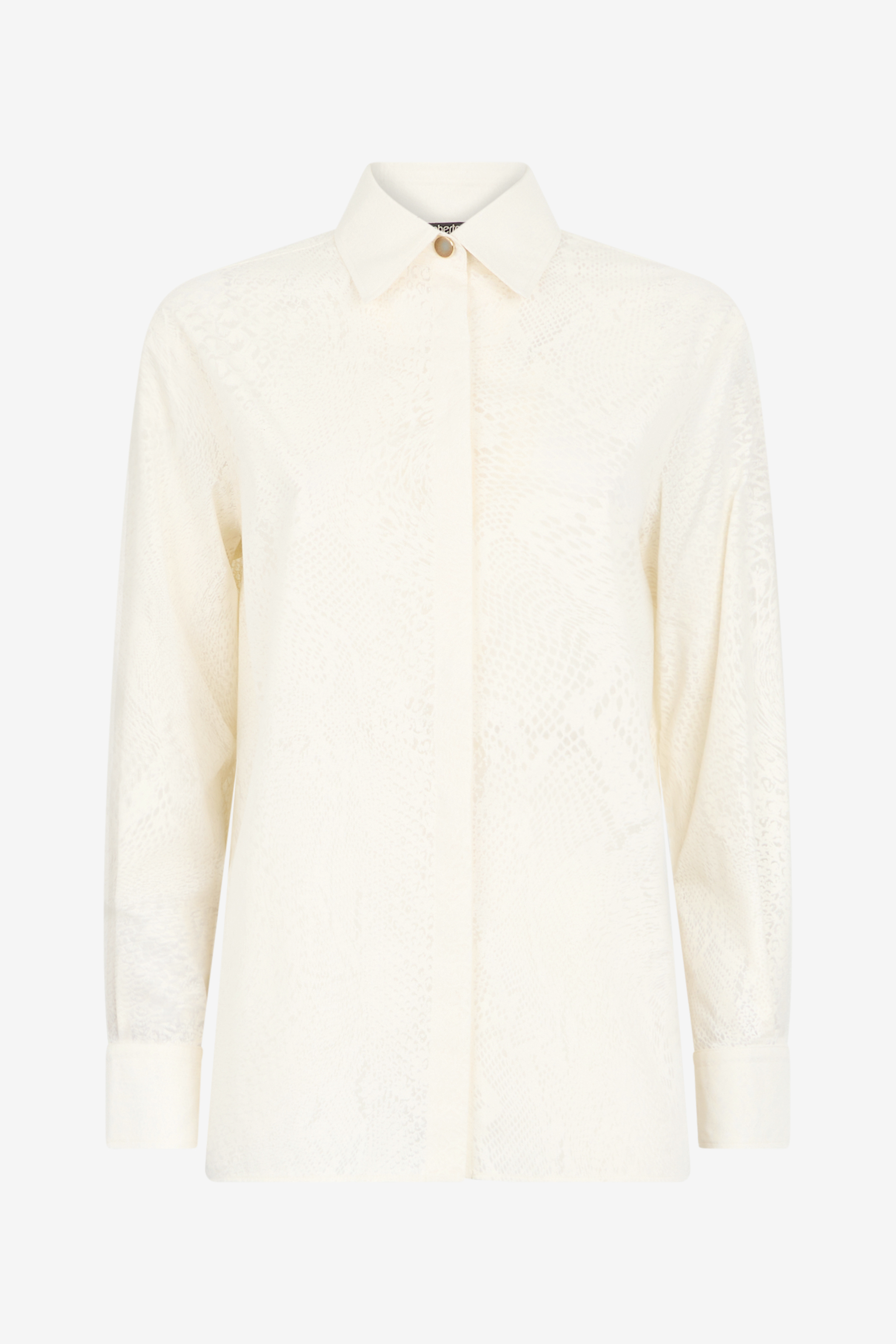 Python-print Shirt