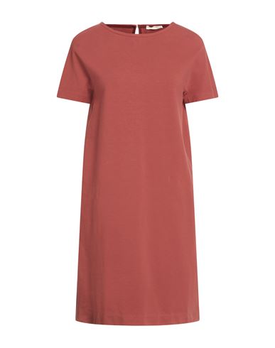 Woman Mini dress Tan Size 4 Cotton, Lycra