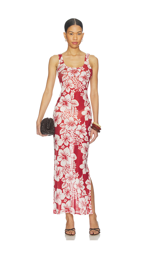 Leslie Amon Roselle Mesh Dress in Red. XL. Also in