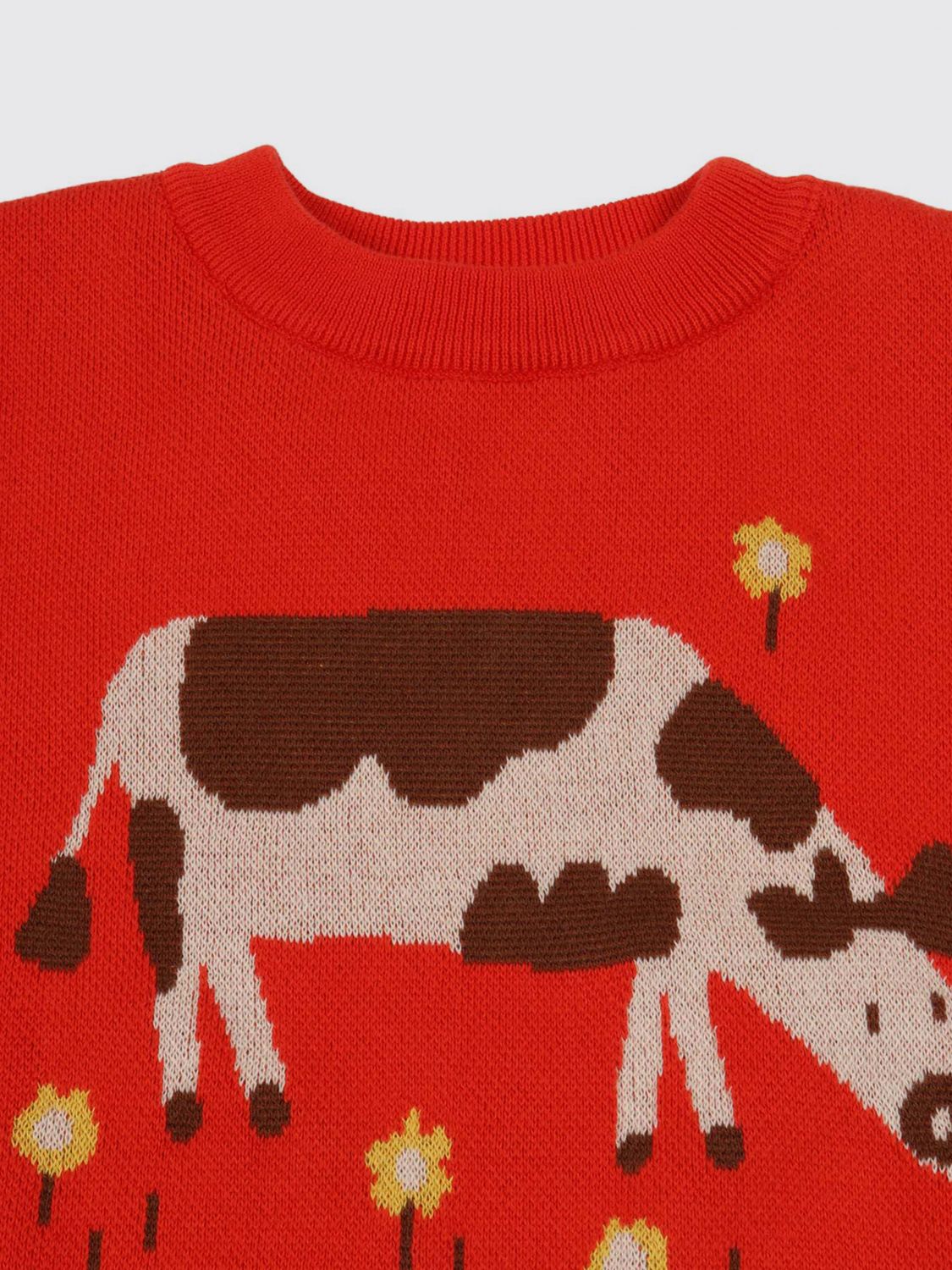 Sweater Kids color Red