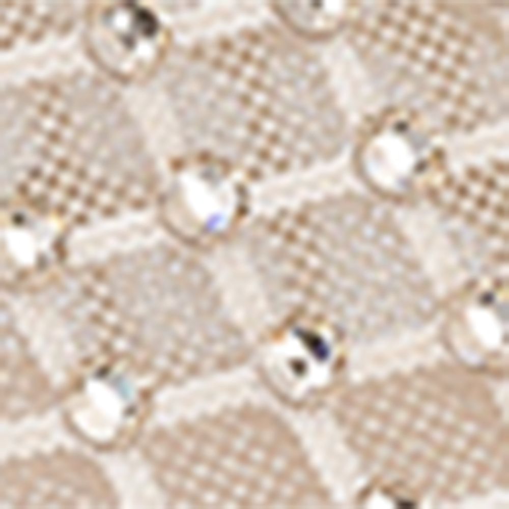 Apostropha Mesh Strass Pumps 80