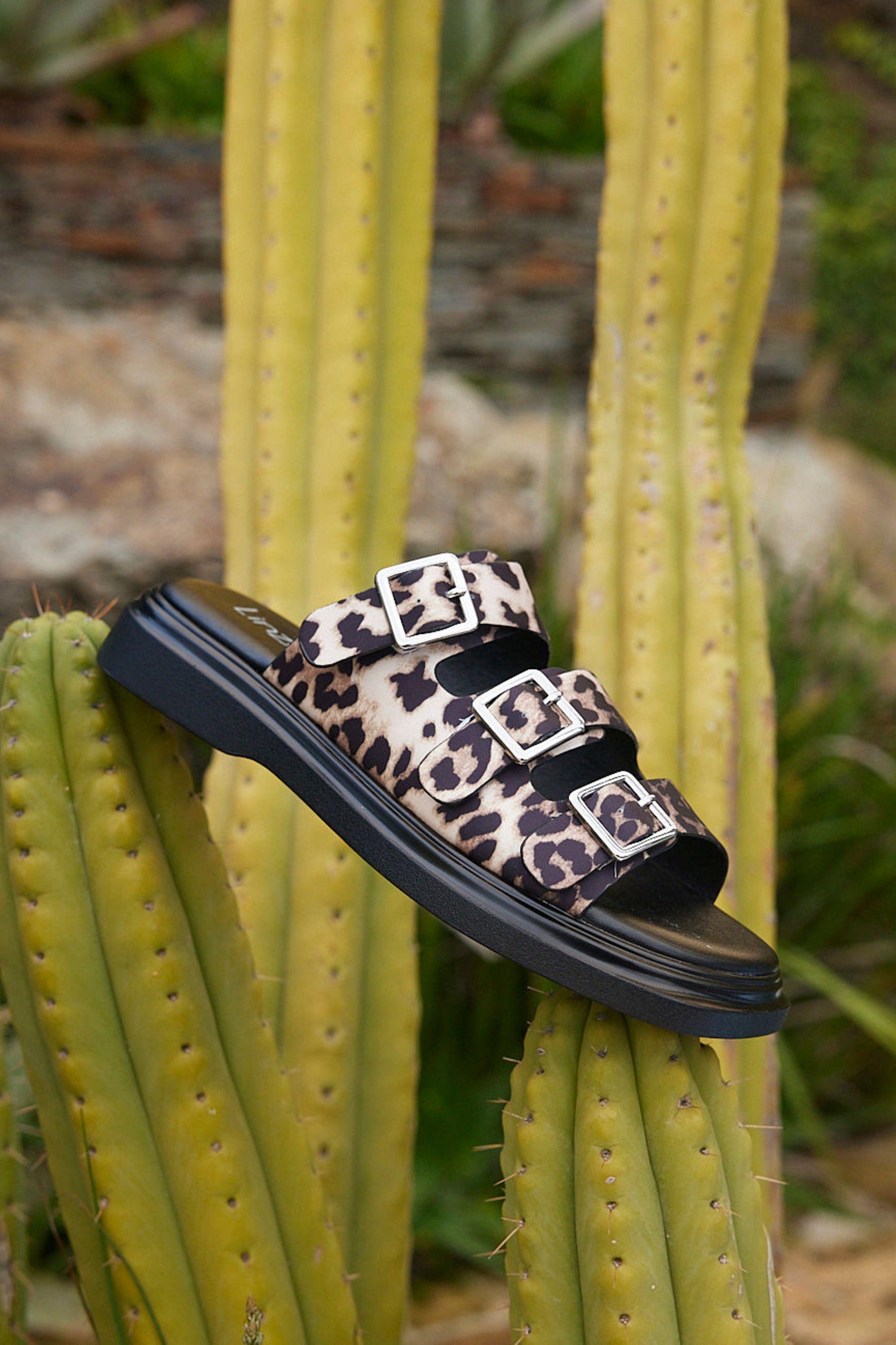 Linzi Satellite Leopard Print Flat Sandals In Brown