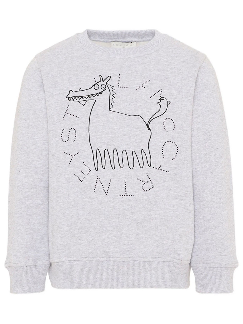 Boys Grey Graphic Sweatshirt