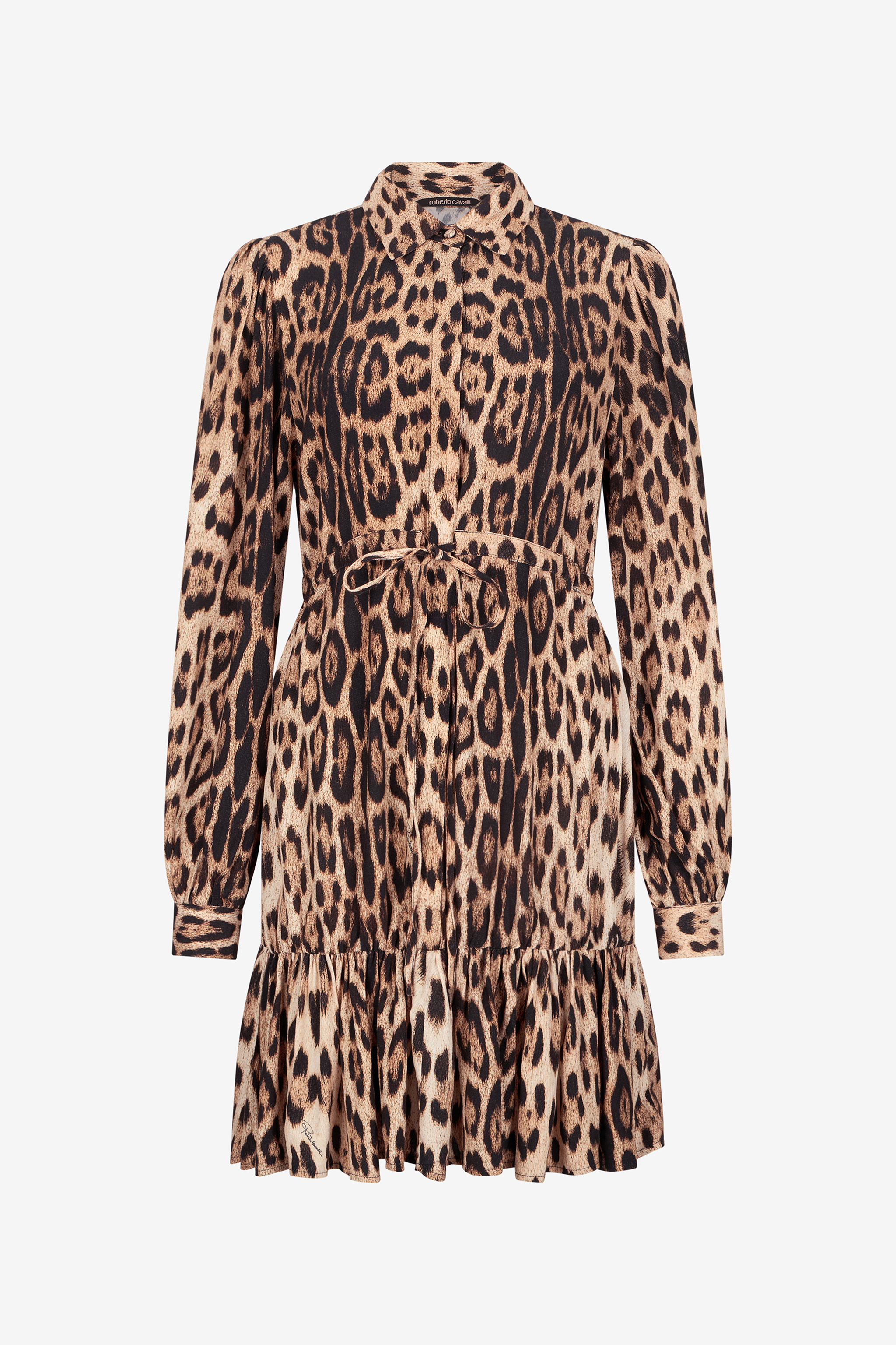 Leopard Print Mini Dress