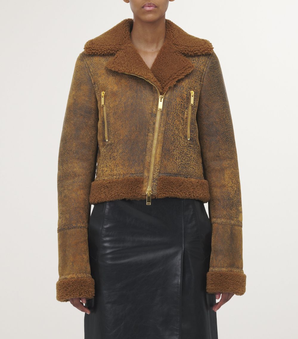 Leather Shearling Aviator Jacket