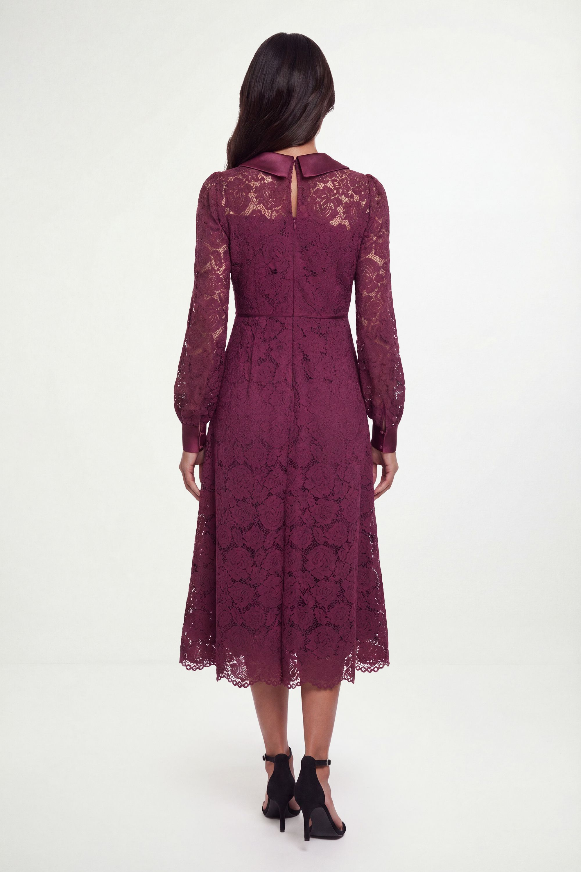 Wallis Womens Lace Collar Midi Dress - Berry Cotton