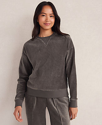Ann Taylor Haven Well Within Corded Velour Crewneck Pullover