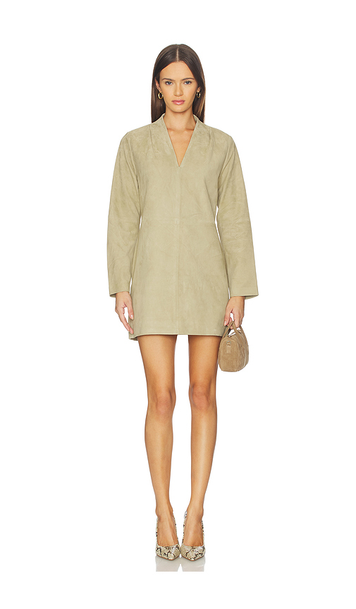 SRG Tanya Suede Dress in Brown. XS. Also in