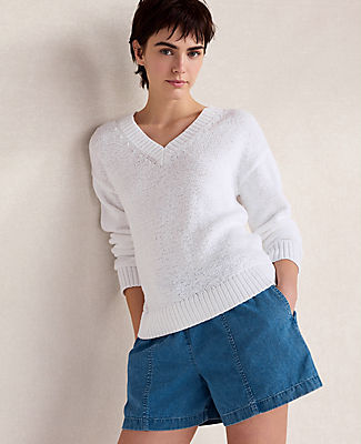 Ann Taylor Haven Well Within Cotton Blend Tape Yarn V-Neck Sweater