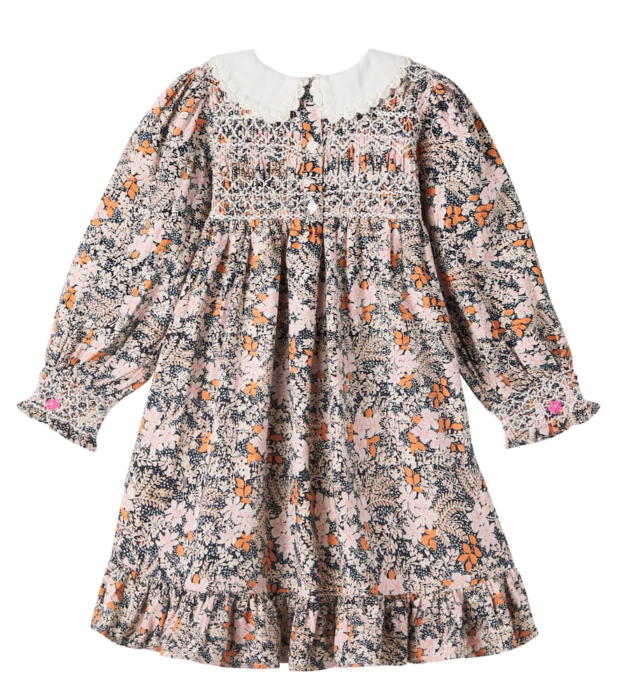 Elora embroidered cotton dress