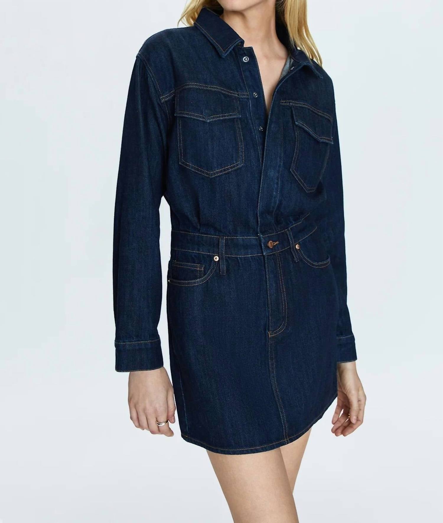Nina Mini Dress In Iggy