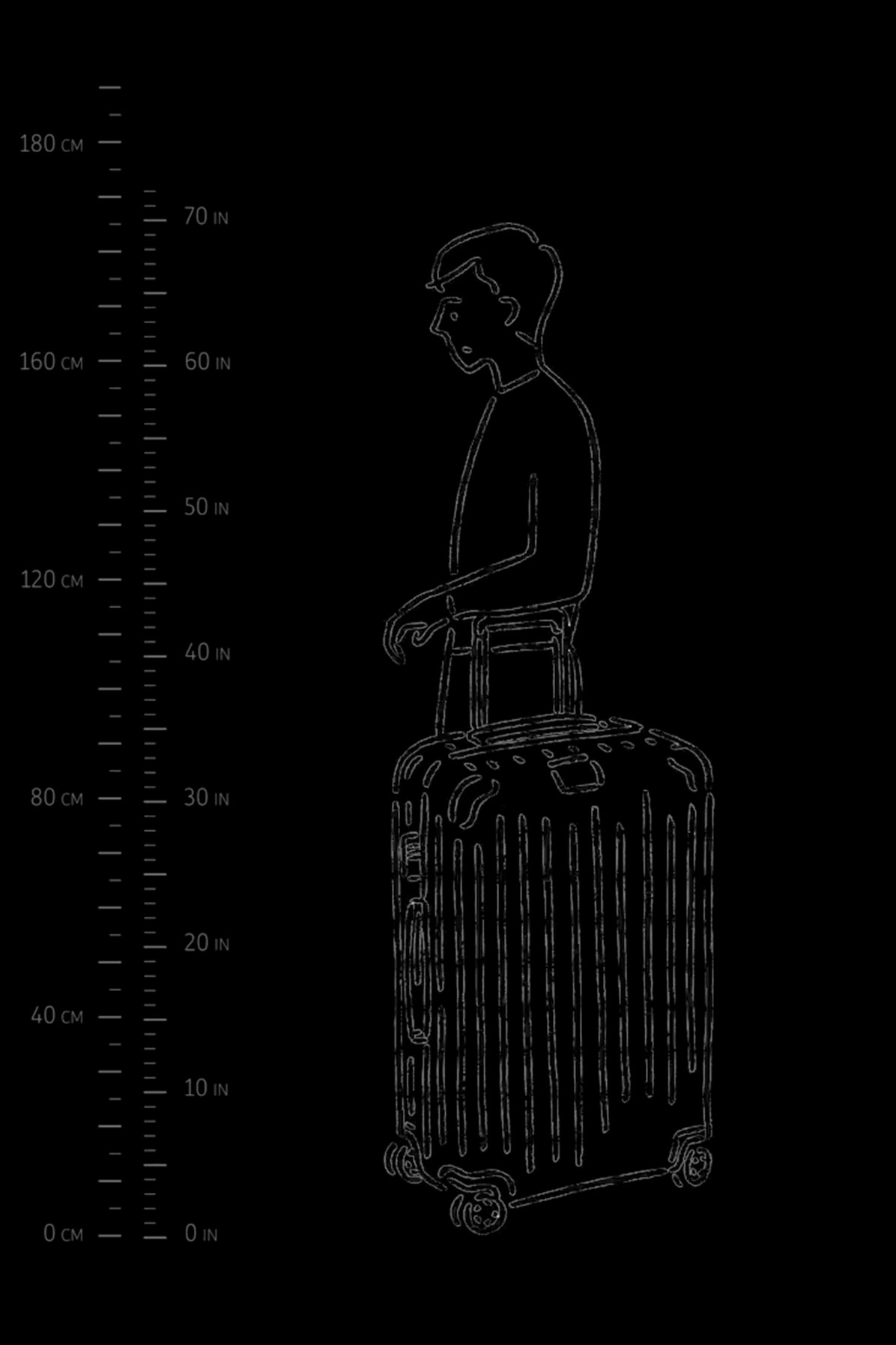 Essential Check-In L suitcase