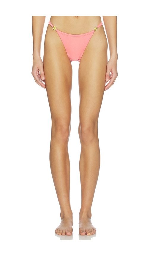 Bananhot Prima Bikini Bottom in Green. -  XL also in L, M