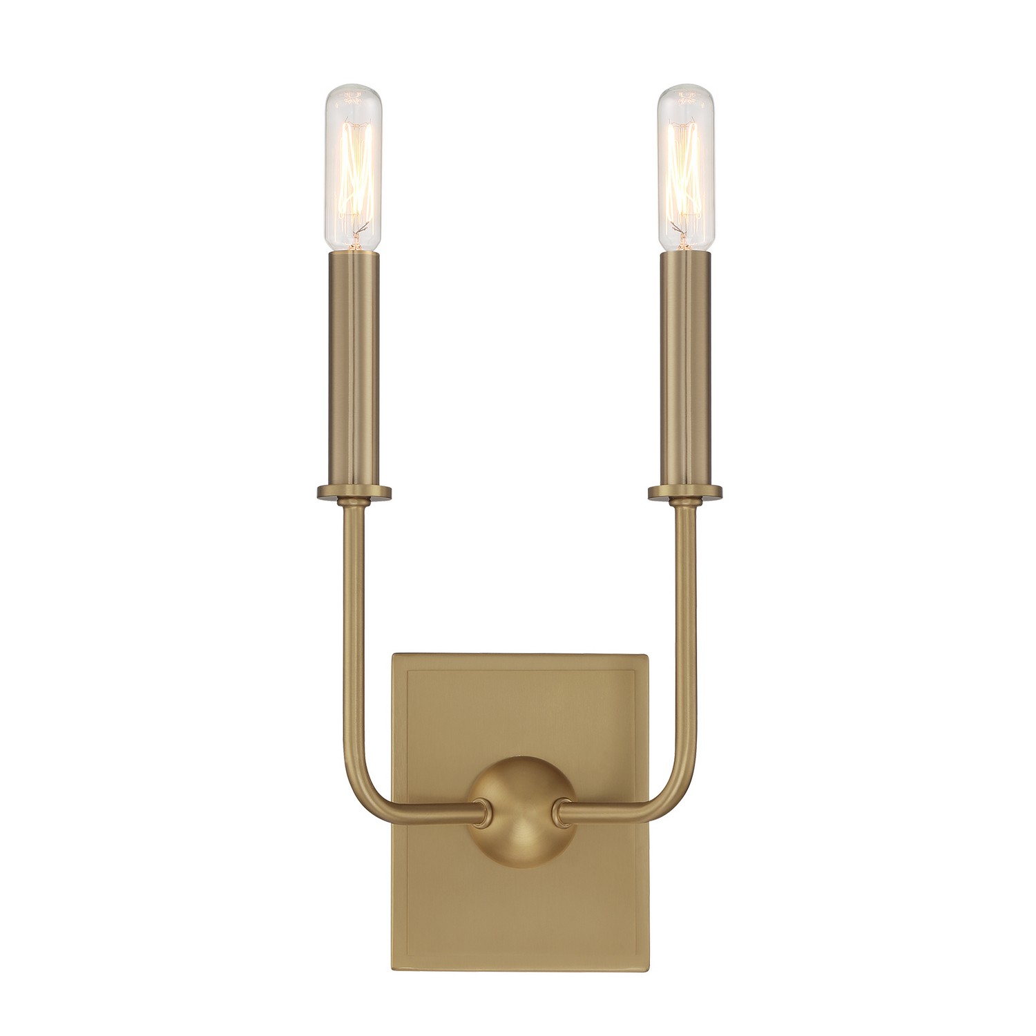 Avondale 2-Light Wall Sconce in Warm Bra