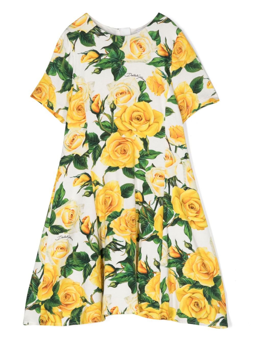 Rose-print flared dress - White