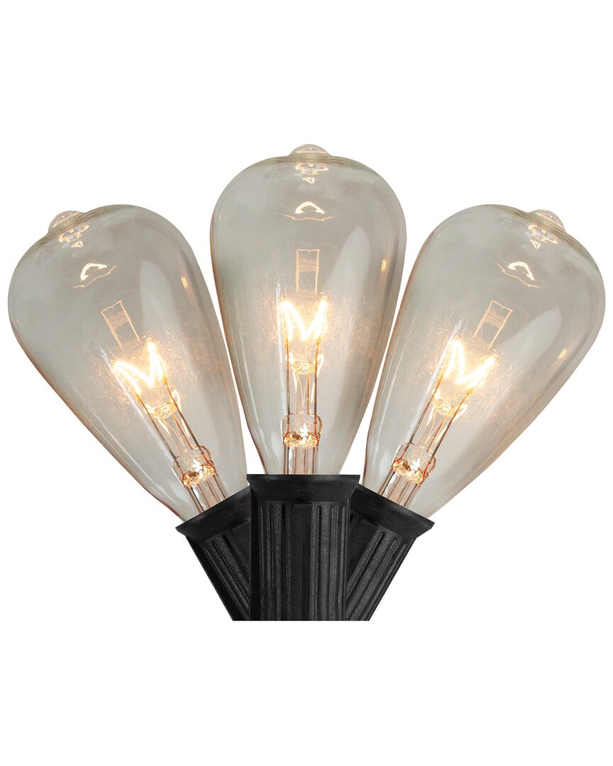Northlight 10 Count Clear Edison Glass Patio Lights 9ft Black Wire