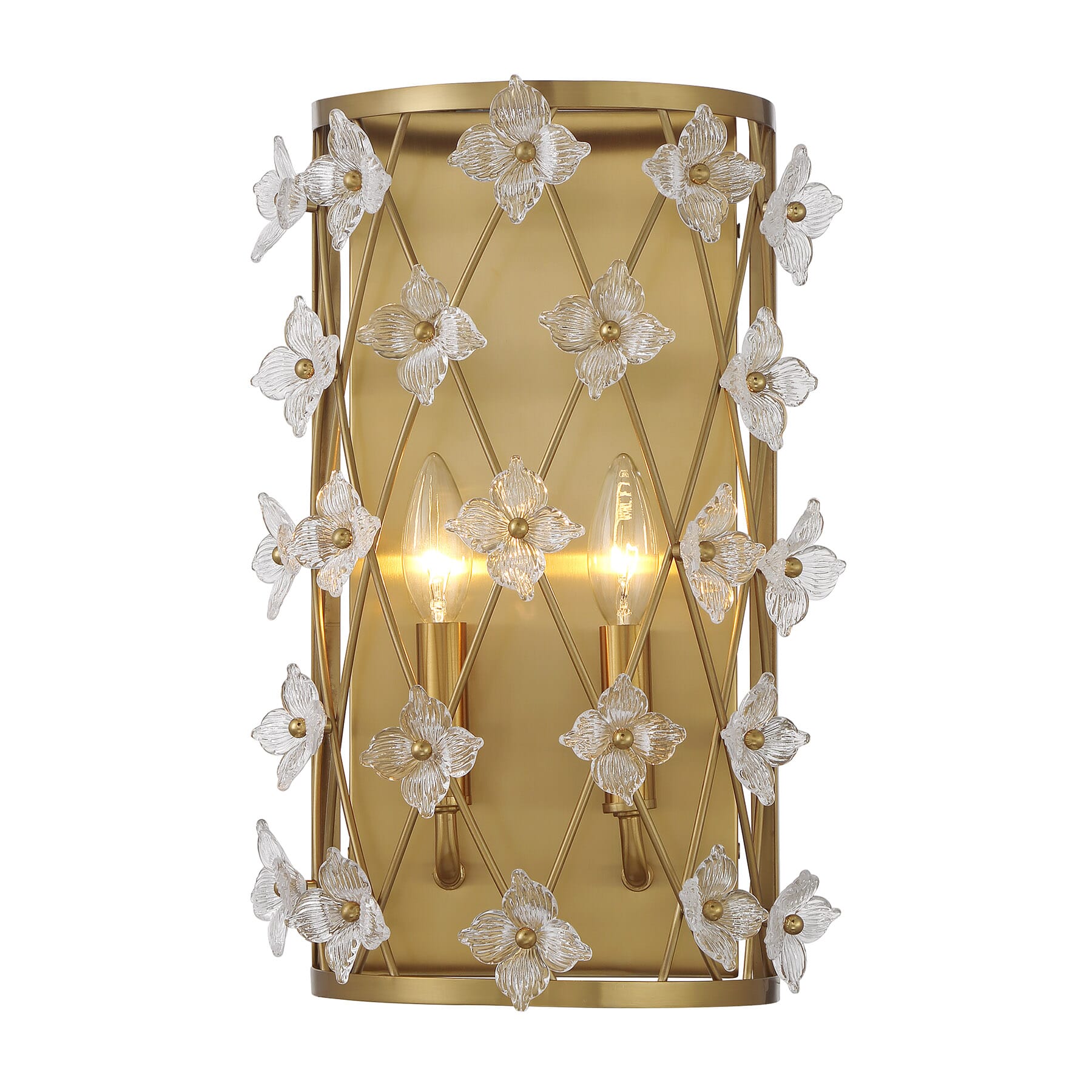 Bailey 2-Light Wall Sconce in Warm Bra