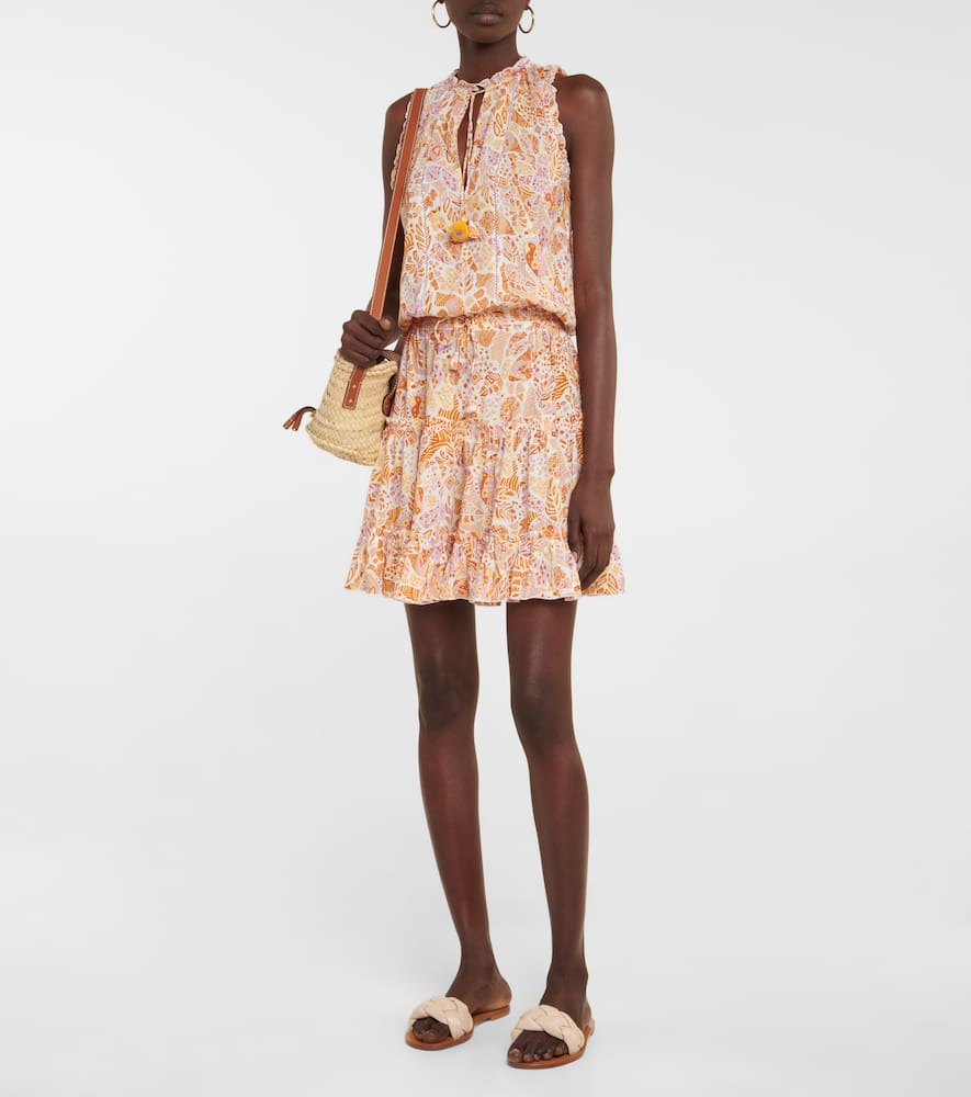 Clara printed minidress