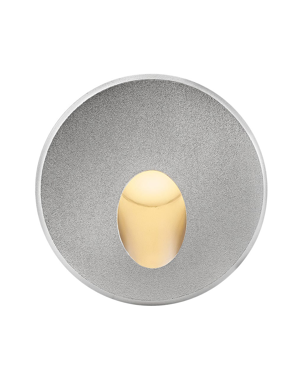 Stainless Steel LED Wall Mount from the Tilt Collection