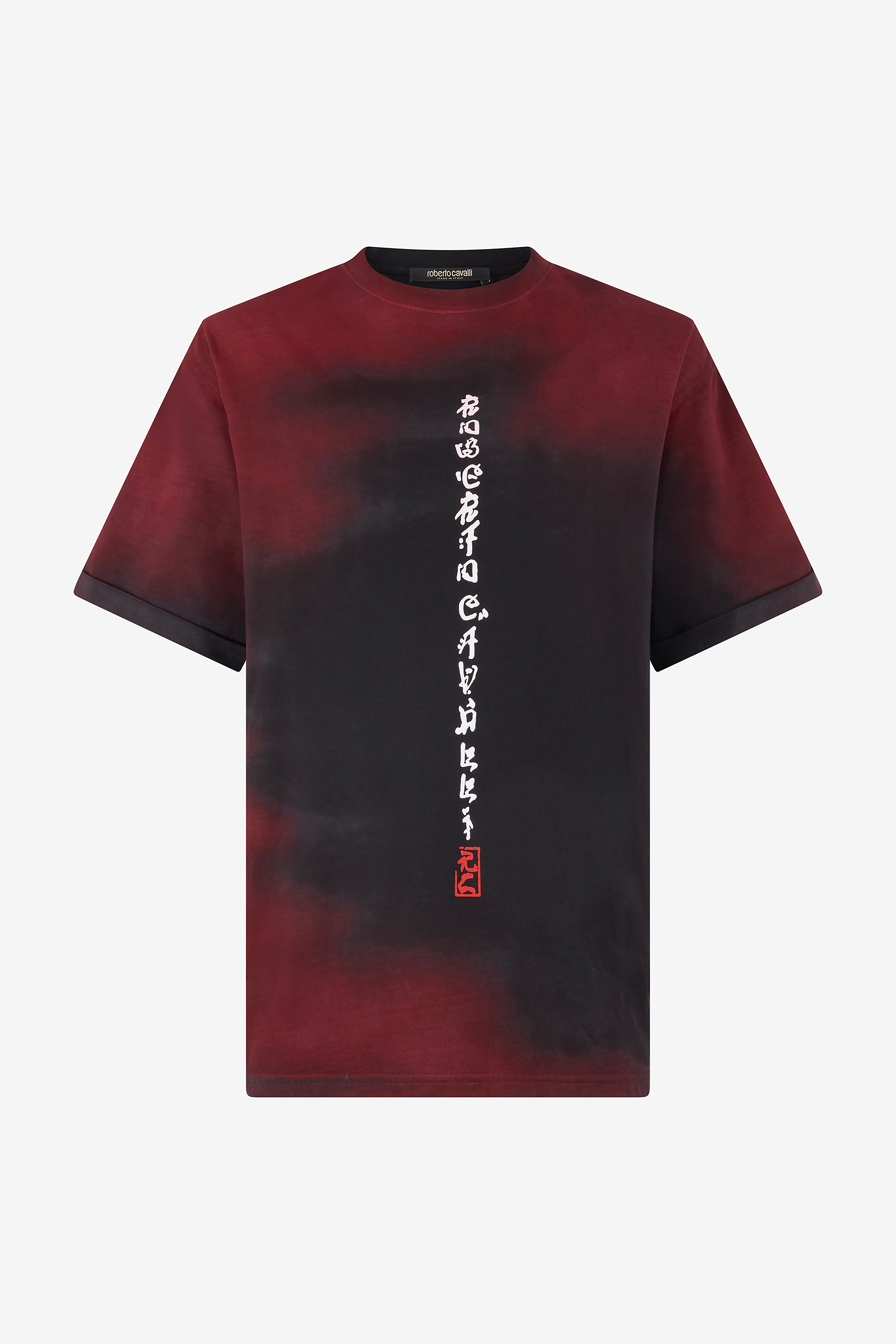 Mottled Effect T-shirt With Dragons And Logo - Male T