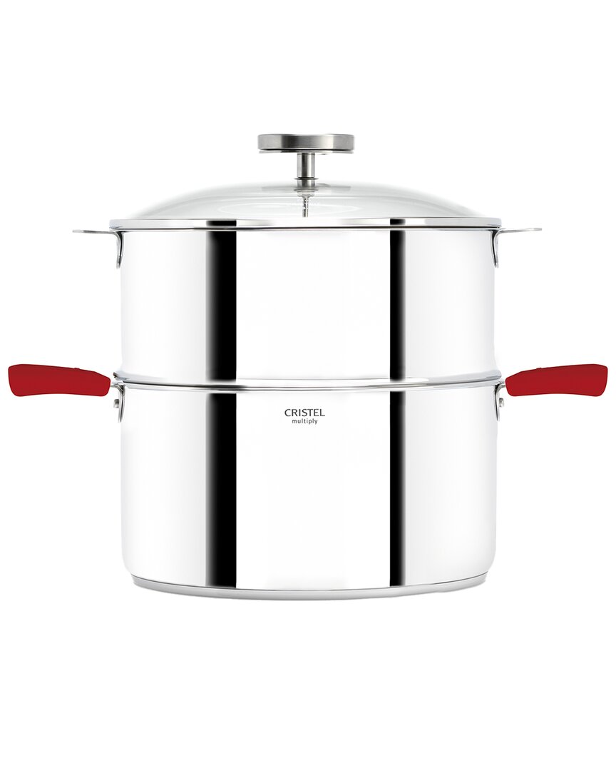Biome 11.5 Qt. Stainless Steel Steamer