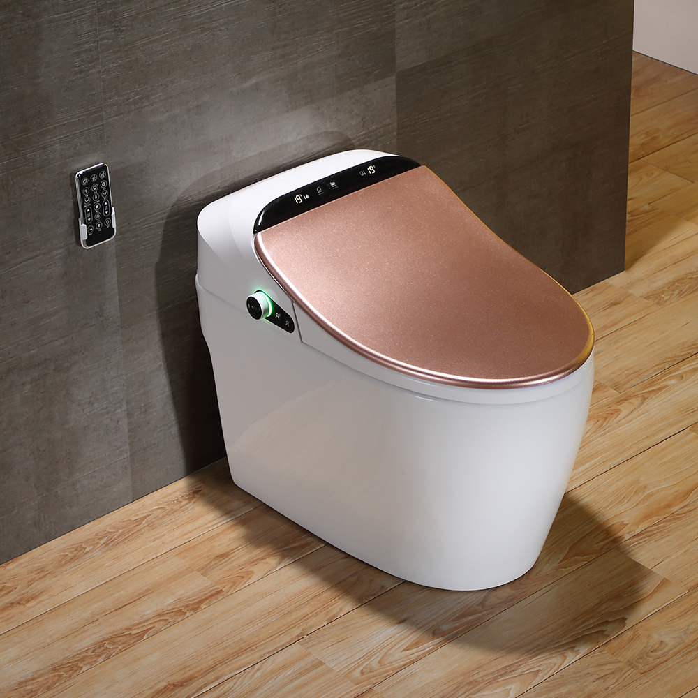 Elongated One-Piece Smart Toilet Deodorizing 1.28 GPF Floor Mount Bidet Toilet Hynova Pro